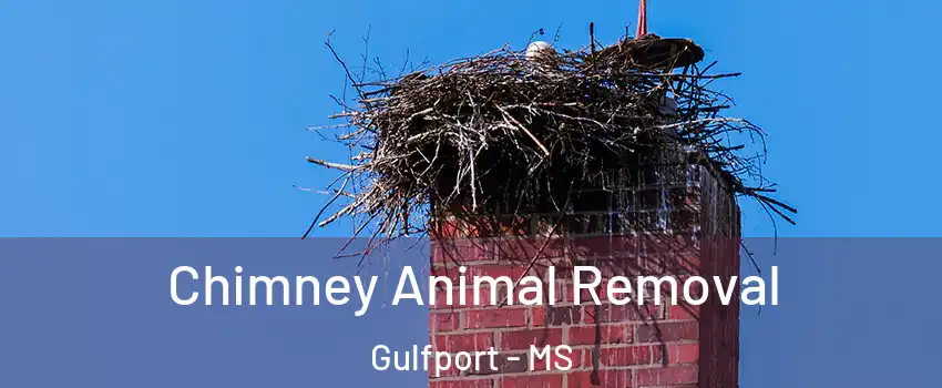  Chimney Animal Removal Gulfport - MS