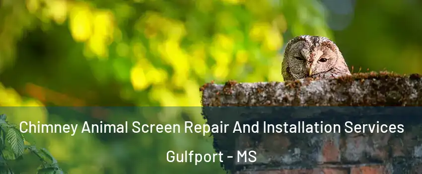  Chimney Animal Screen Repair And Installation Services Gulfport - MS
