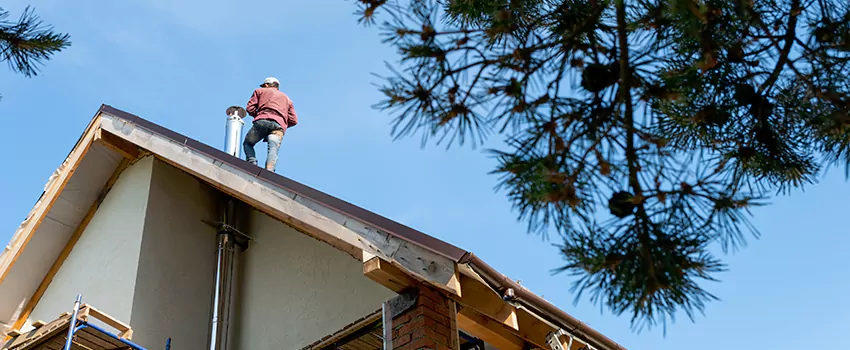 Birds Removal Contractors from Chimney in Gulfport, MS