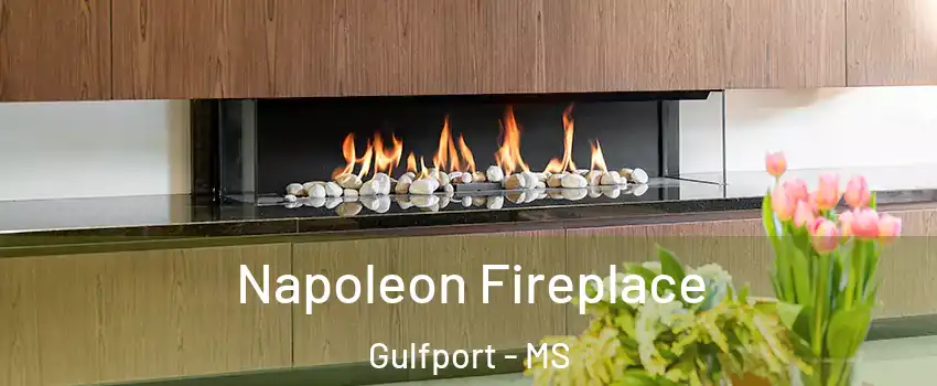  Napoleon Fireplace Gulfport - MS